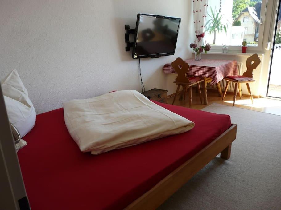 Kleine Feine Wohnung In Toplage Bludenz Zewnętrze zdjęcie